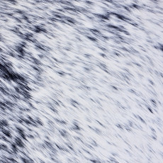 Cowhide Rug AUG26-030 (210cm x 210cm)