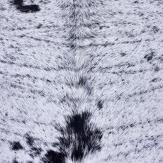 Cowhide Rug AUG26-035 (250cm x 210cm)