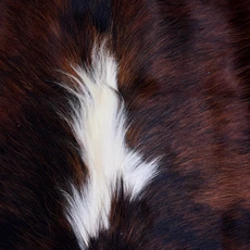 Cowhide Rug AUG26-044 (200cm x 190cm)