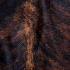 Cowhide Rug AUG26-044 (200cm x 190cm)