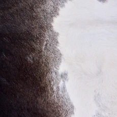 Cowhide Rug AUG26-047 (220cm x 200cm)