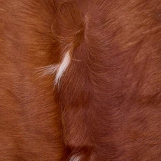 Cowhide Rug AUG26-055 (210cm x 220cm)