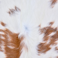 Cowhide Rug AUG26-059 (180cm x 170cm)