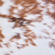 Cowhide Rug AUG26-059 (180cm x 170cm)
