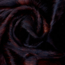 Cowhide Rug AUG26-066 (210cm x 180cm)