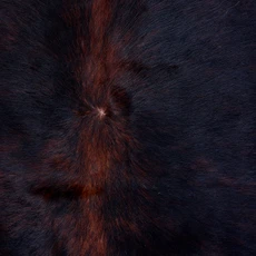 Cowhide Rug AUG26-066 (210cm x 180cm)