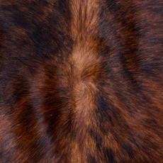 Cowhide Rug AUG26-068 (210cm x 190cm)