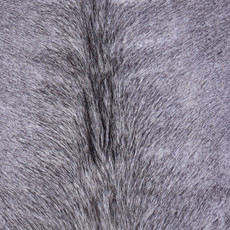 Cowhide Rug AUG26-081 (200cm x 180cm)