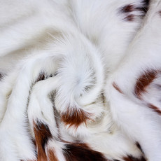Cowhide Rug AUG26-084 (170cm x 180cm)