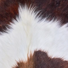 Cowhide Rug AUG26-085 (200cm x 180cm)