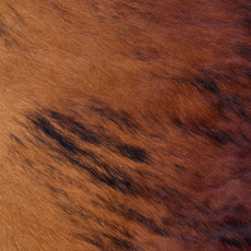 Cowhide Rug AUG26-086 (200cm x 180cm)
