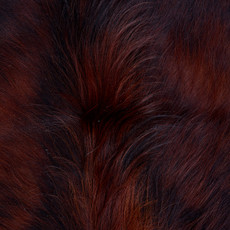 Cowhide Rug AUG26-088 (200cm x 190cm)
