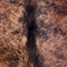 Cowhide Rug AUG26-094 (200cm x 190cm)