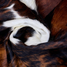 Cowhide Rug AUG26-095 (210cm x 180cm)