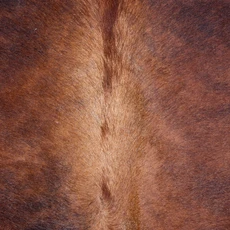 Cowhide Rug AUG26-096 (200cm x 170cm)