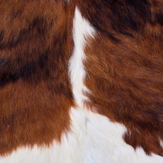 Cowhide Rug AUG26-097 (190cm x 180cm)