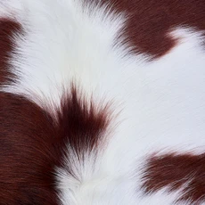 Cowhide Rug AUG26-103 (180cm x 170cm)