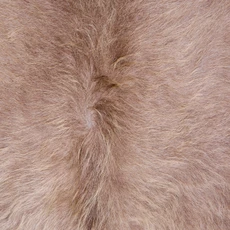 Cowhide Rug AUG26-109 (210cm x 190cm)