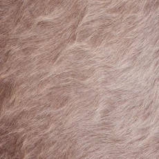 Cowhide Rug AUG26-109 (210cm x 190cm)