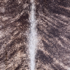 Cowhide Rug AUG26-113 (230cm x 210cm)