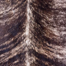 Cowhide Rug AUG26-113 (230cm x 210cm)