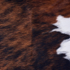 Cowhide Rug AUG26-115 (210cm x 200cm)
