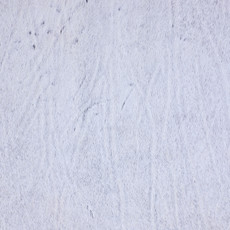 Cowhide Rug AUG26-118 (230cm x 190cm)