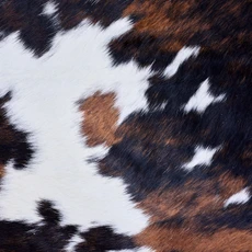 Cowhide Rug AUG26-124 (210cm x 190cm)