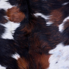 Cowhide Rug AUG26-125 (180cm x 190cm)