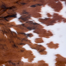 Cowhide Rug AUG26-143 (210cm x 200cm)
