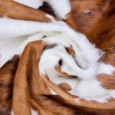 Cowhide Rug AUG26-145 (210cm x 180cm)