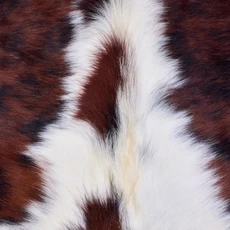 Cowhide Rug AUG26-146 (230cm x 200cm)