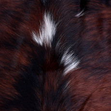 Cowhide Rug AUG26-148 (200cm x 190cm)