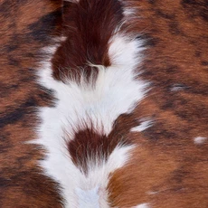 Cowhide Rug AUG26-149 (190cm x 180cm)