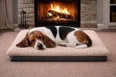 Oyster Short hair Sheepskin Pet Bed 