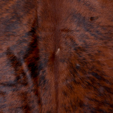 Brindle Brown And White Cowhide Rug NOV26-012 (230cm x 210cm)