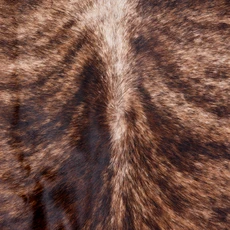 Brindle Brown And White Cowhide Rug NOV26-013 (235cm x 220cm)