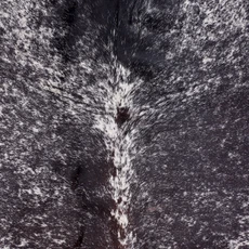 Speckled Black And White Cowhide Rug NOV26-021 (240cm x 220cm)