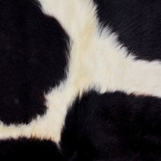 Tri Burnt Black And White  Cowhide Rug NOV26-025 (200cm x 160cm)