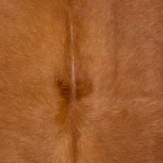 Brown And White Cowhide Rug NOV26-069 (200cm x 190cm)