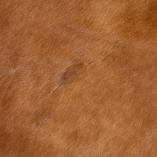 Brown And White Cowhide Rug NOV26-069 (200cm x 190cm)
