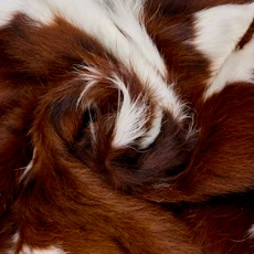 Brown And White Cowhide Rug NOV26-071 (160cm x 160cm)
