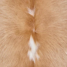 Pale Brown And White Cowhide Rug NOV26-100 (230cm x 210cm)