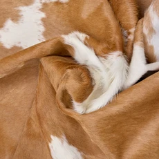 Brown And White Cowhide Rug NOV26-112 (230cm x 200cm)