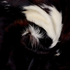 Deep Brown And White Cowhide Rug NOV26-119 (210cm x 190cm)