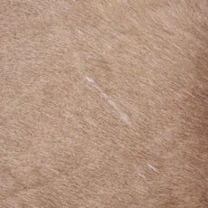 Light Brown  Cowhide Rug NOV26-146 (250cm x 230cm)