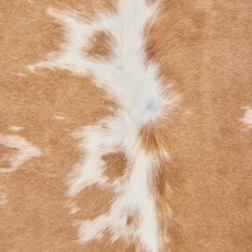 Golden Brown And White Cowhide Rug NOV26-155 (230cm x 220cm)