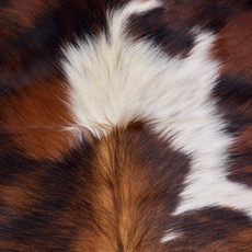 Bright Brown And White Cowhide Rug NOV26-162 (200cm x 190cm)