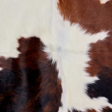 Spotted Brown Abd Cream Cowhide Rug NOV26-182 (220cm x 200cm)