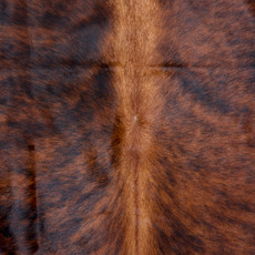 Bright Brown Brindle Cowhide Rug NOV26-184 (210cm x 190cm)